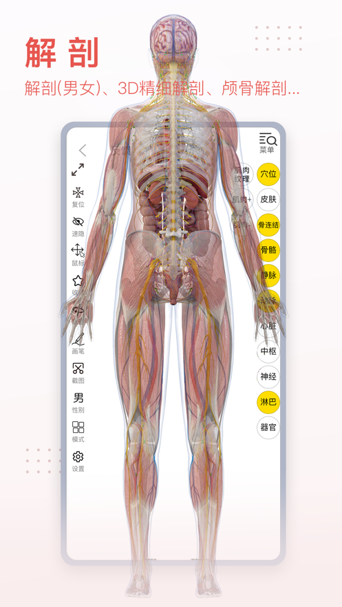 3Dbody°ֻapp-3Dbody޹ƽ