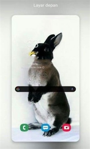 NewRabbitwallpaperƽapp-NewRabbitwallpaperѰذװ