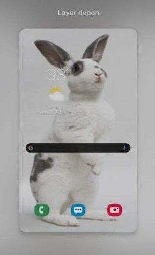 NewRabbitwallpaperƽapp-NewRabbitwallpaperѰذװ