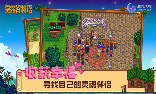 stardew valleyapp