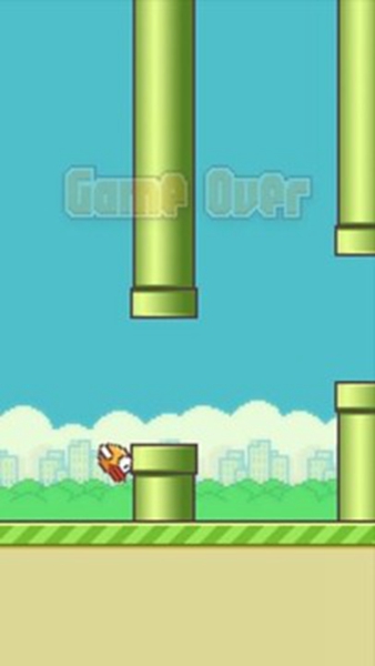 flappy?bird